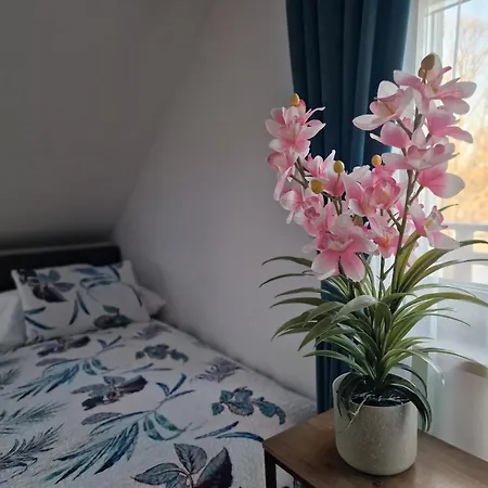 Baltic - Osrodek Wypoczynkowy - Cetniewo Hotel apartamentowy